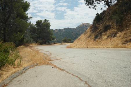 Enlarge photo 24
