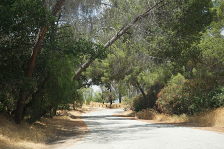 Enlarge photo 25