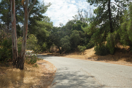Enlarge photo 27