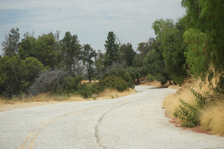 Enlarge photo 29