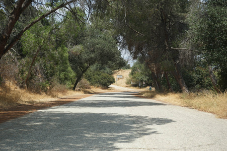 Enlarge photo 30