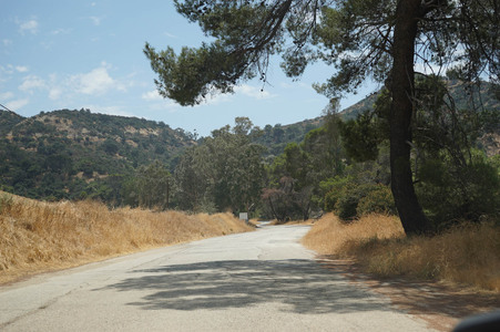 Enlarge photo 31