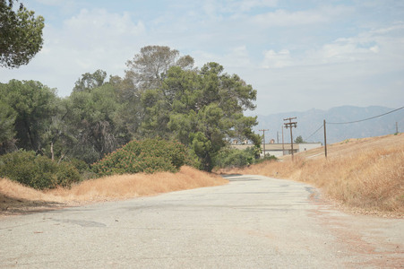 Enlarge photo 32