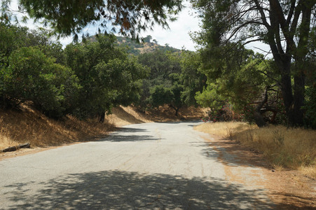 Enlarge photo 33