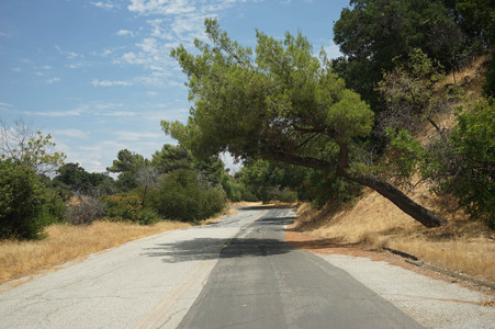 Enlarge photo 35