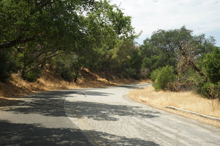 Enlarge photo 36