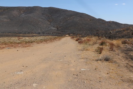 Enlarge photo 40