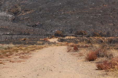 Enlarge photo 22