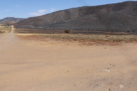 Enlarge photo 53