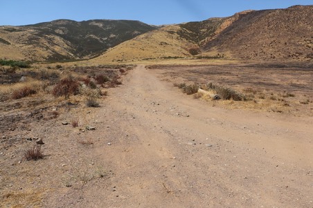Enlarge photo 16