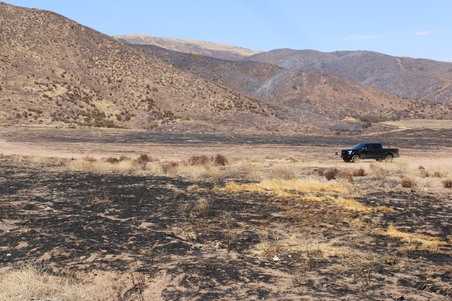 Enlarge photo 33