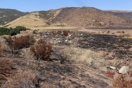 Enlarge photo 5