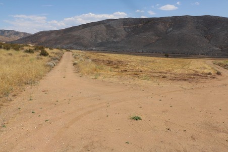 Enlarge photo 46