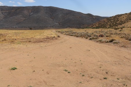 Enlarge photo 47