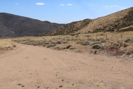 Enlarge photo 48
