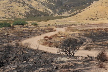 Enlarge photo 23