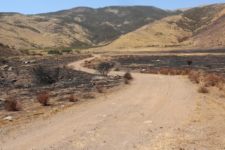 Enlarge photo 34