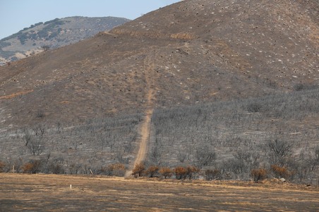 Enlarge photo 35