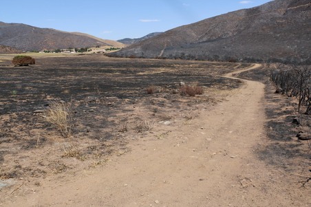 Enlarge photo 29