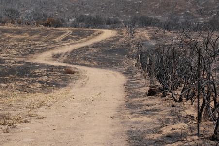 Enlarge photo 49