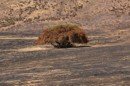 Enlarge photo 30