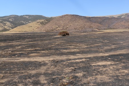 Enlarge photo 24
