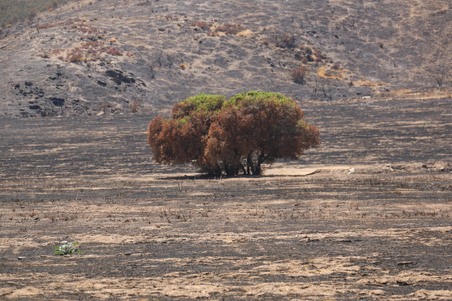 Enlarge photo 36