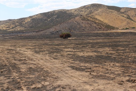 Enlarge photo 19