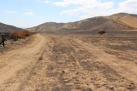 Enlarge photo 31