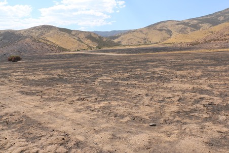 Enlarge photo 20