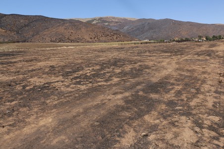 Enlarge photo 25