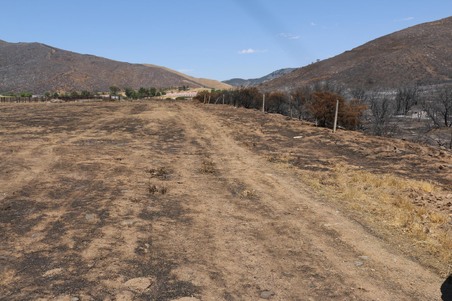 Enlarge photo 32