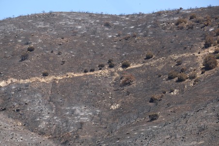 Enlarge photo 43