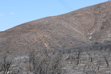 Enlarge photo 37