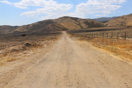 Enlarge photo 45