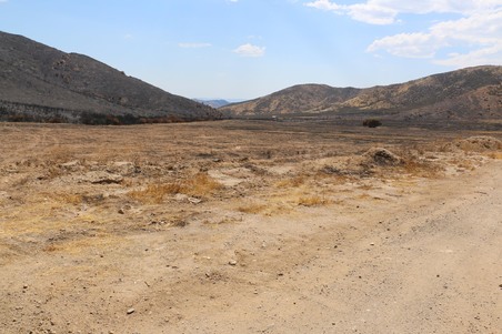 Enlarge photo 39