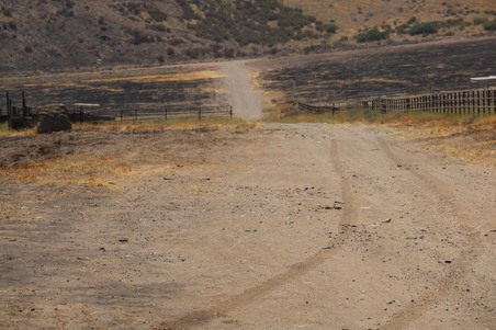 Enlarge photo 50
