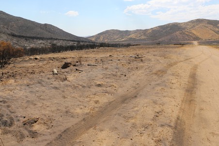 Enlarge photo 52