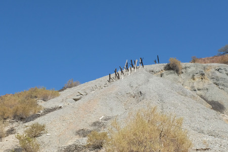 Enlarge photo 30