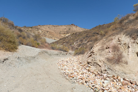 Enlarge photo 62
