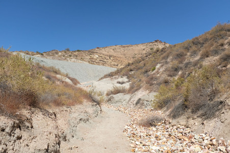 Enlarge photo 63