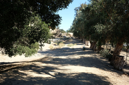 Enlarge photo 31