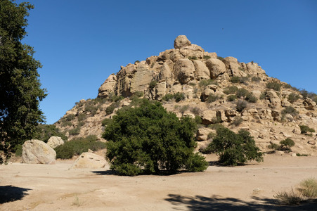 Enlarge photo 175