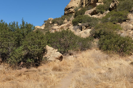 Enlarge photo 6
