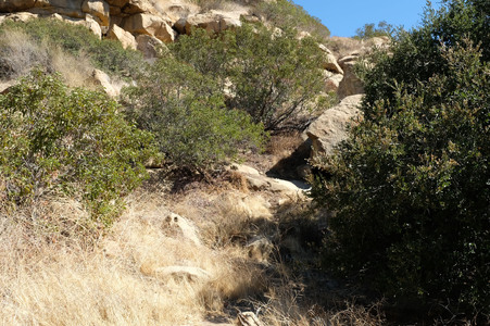 Enlarge photo 2