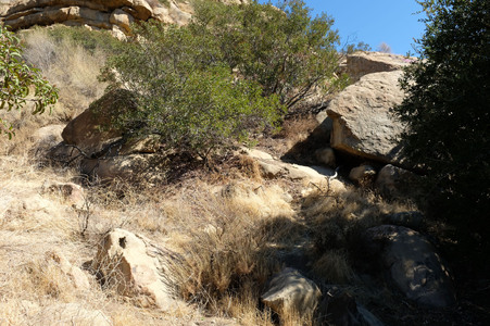 Enlarge photo 7
