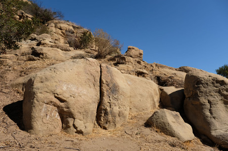 Enlarge photo 135
