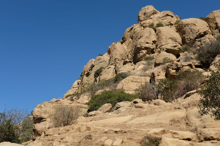 Enlarge photo 169