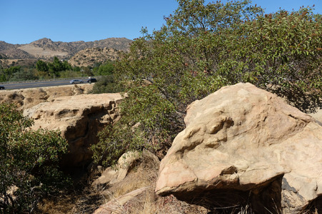 Enlarge photo 14