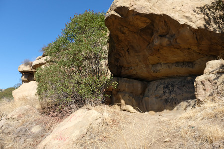 Enlarge photo 193
